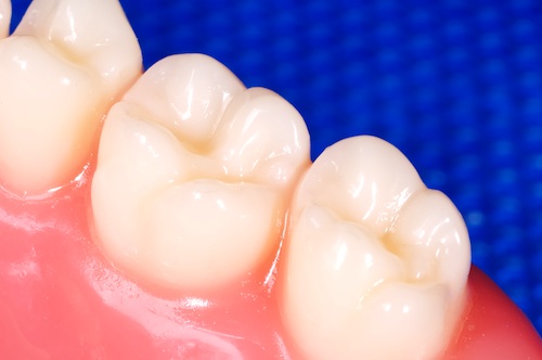 molars teeth in children
